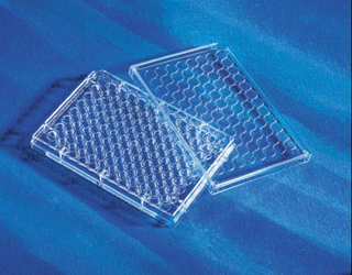 96�׼������B�� ���B��